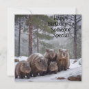 Search for outing cards Wildlife