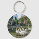 Search for white swan keychains Nature