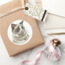 Search for ragdoll stickers Animal