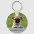 Search for pug keychains Cute