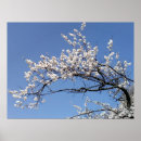 Search for sunny sky art Blue