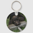 Search for labradoodle keychains Puppy