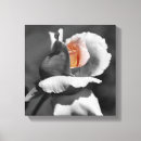 Search for rose colored art Floral