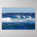 Search for nsw Surf