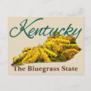 Recherche de kentuckian État de bluegrass