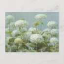 Search for hydrangea garden postcards Flowers