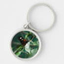 Search for butterfly tree keychains Nature