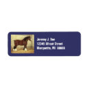 Recherche de cheval de trait Agriculture