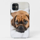 Search for cute pug iphone cases Background