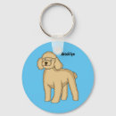 Search for poodle accessories Illustration