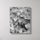 Search for hydrangea canvas prints White