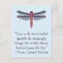 Recherche de libellule bleue cartes postales Violet