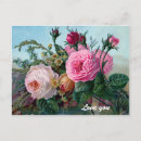 Recherche de rose victorien rose cartes postales Beau