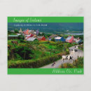 Search for irish cow postcards Eire