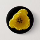 Search for yellow tulips buttons Beautiful