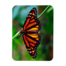 Recherche de monarques magnets Nature