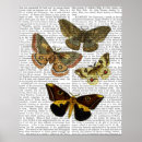 Search for vintage moth posters Butterfly