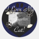 Search for love cats stickers Kitty