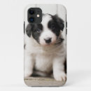 Search for border collie iphone cases Pet