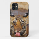Search for bengal tiger iphone cases Cat