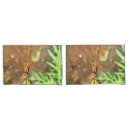 Search for wing pillowcases Insect