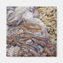 Recherche de poulpes magnets Fruits de mer
