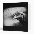 Search for chickens binders Farm animal