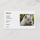 Search for west business cards Dog
