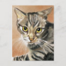 Recherche de chats tigrés cartes postales Animaux