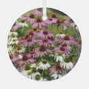 Search for historic ornaments Summer