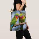 Search for lorikeet Wildlife