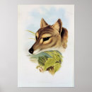 Recherche de tasmania posters Animal
