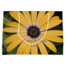 Search for daisy gift bags Party