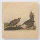 Search for fowl coasters Bird
