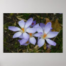 Search for toxic posters Purple