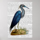 Search for herons posters Animals