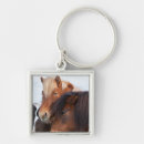 Search for icelandic horses keychains Equus caballus