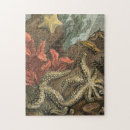 Recherche de algues puzzles Varech