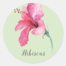 Search for hibiscus flower stickers Pink