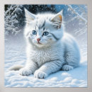 Recherche de noël de chat posters Neige
