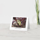 Search for frog get well cards Green