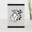 Search for ring tailed cards Madagascar