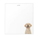 Recherche de labrador blocsnotes Animal