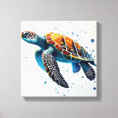 Search for cool turtle art Turtles