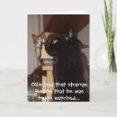 Search for creepy cat postcards Cats