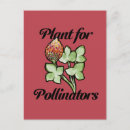 Search for pollinators postcards Flower