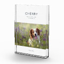 Search for dog memorial photo display In loving memory