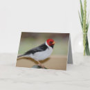 Search for billings cards Black