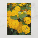 Recherche de ami spécial cartes postales Encouragement