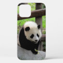 Search for panda iphone cases Nature
